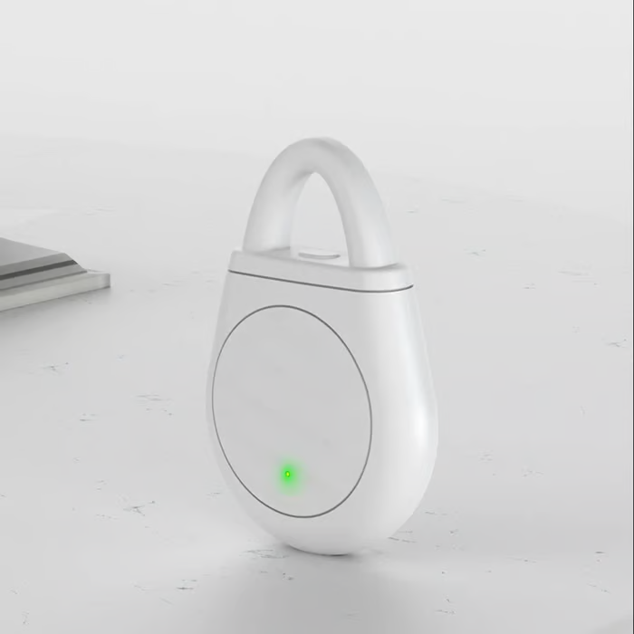 Portable Ultrasonic Bird Repellent Keychain