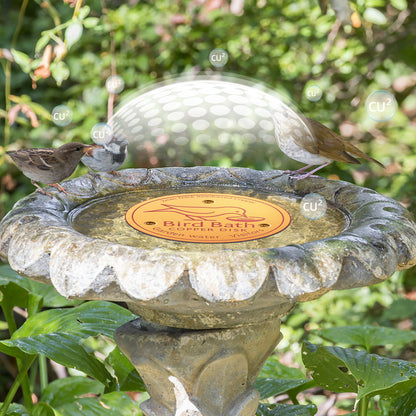 Bird Bath Copper Disk