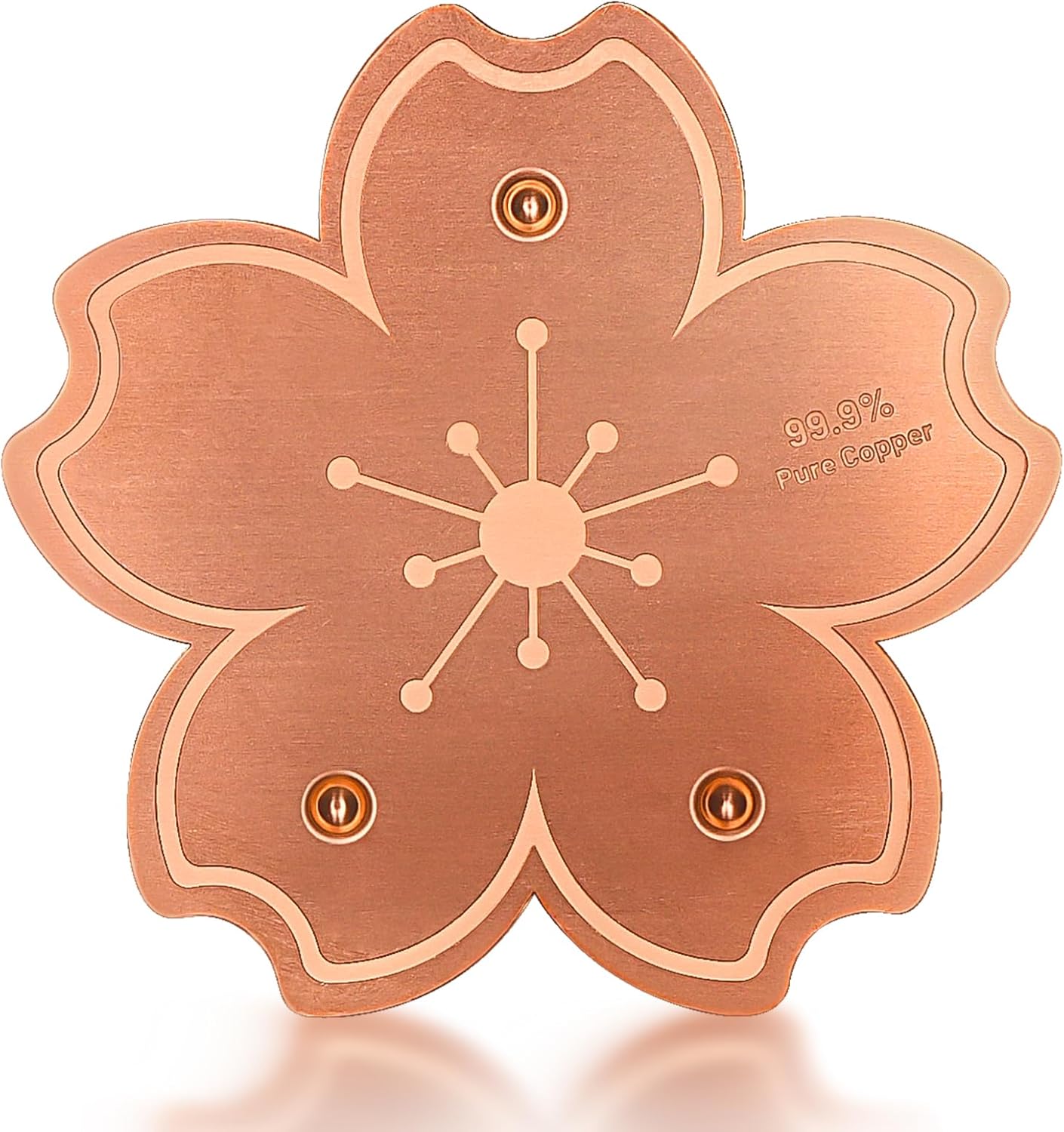 Bird Bath Copper Disk