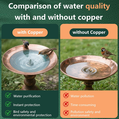 Bird Bath Copper Disk