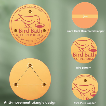 Bird Bath Copper Disk
