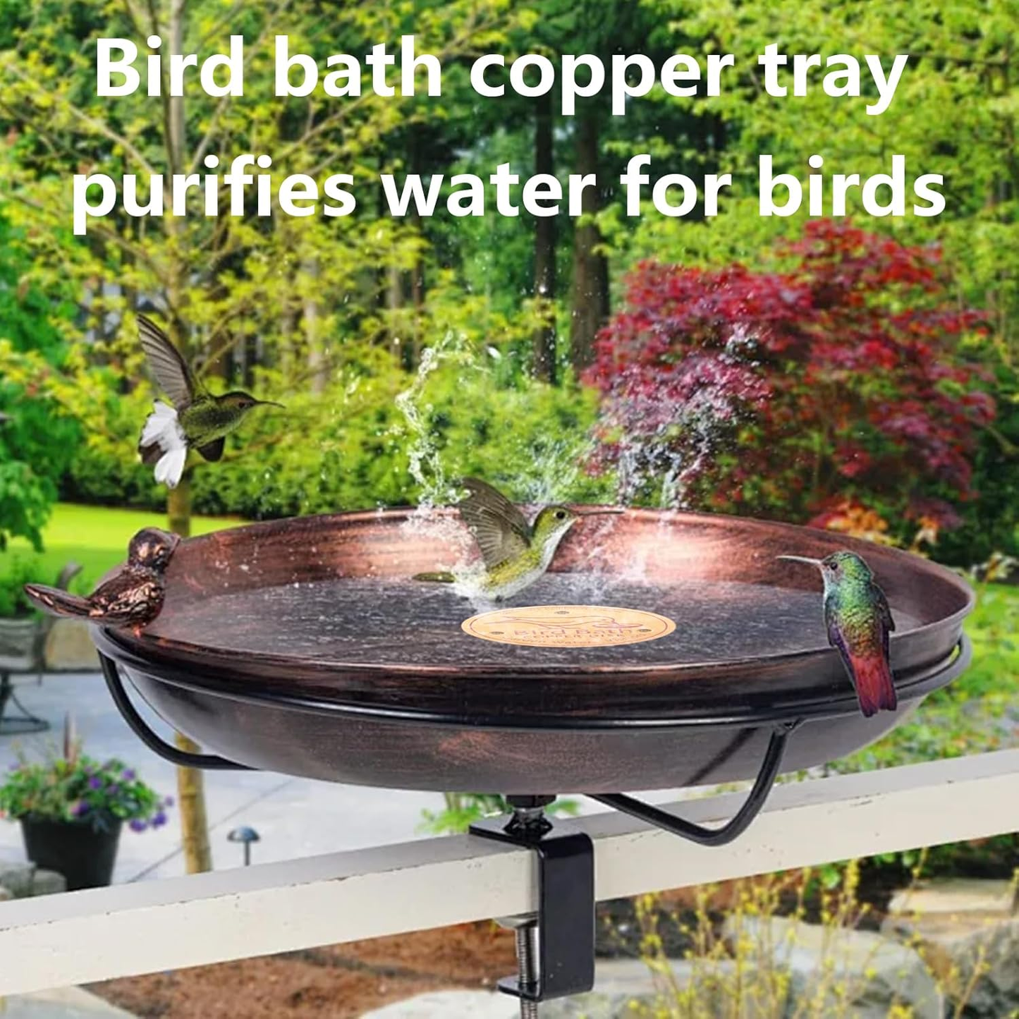 Bird Bath Copper Disk