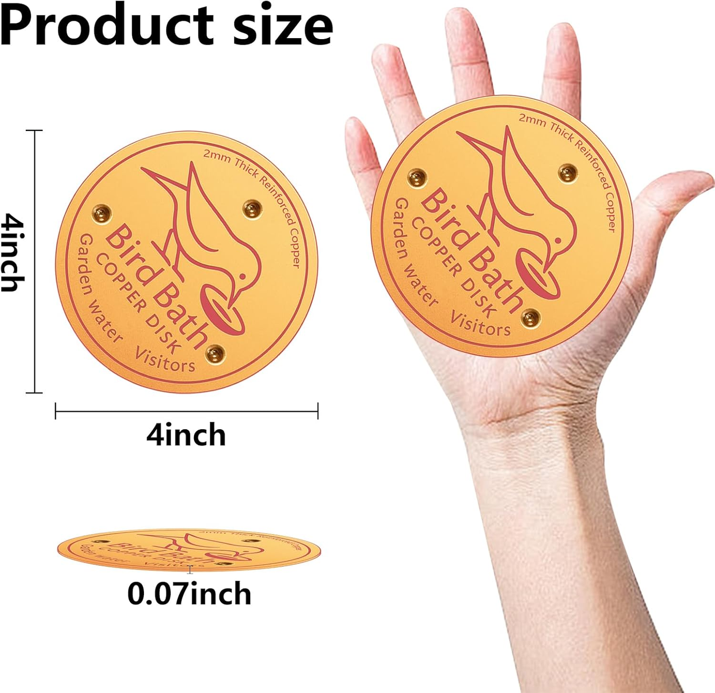 Bird Bath Copper Disk