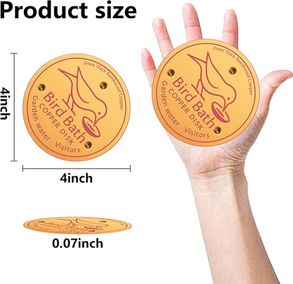 Bird Bath Copper Disk