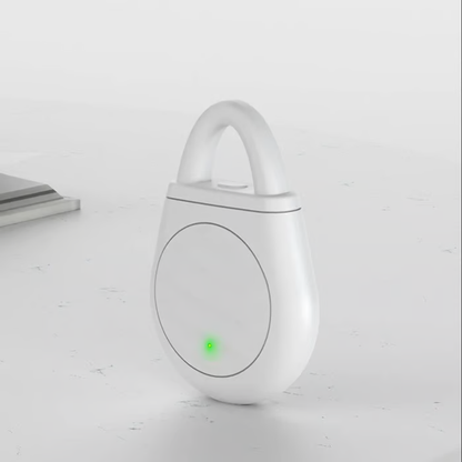 Portable Ultrasonic Bird Repellent Keychain
