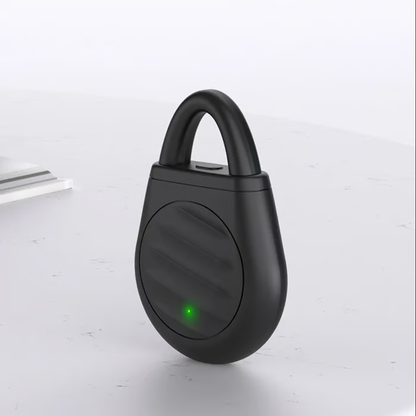 Portable Ultrasonic Bird Repellent Keychain