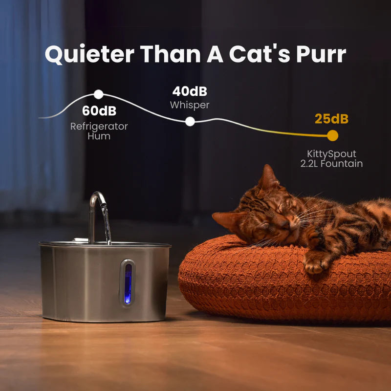 Cat Water Fountain Stainless