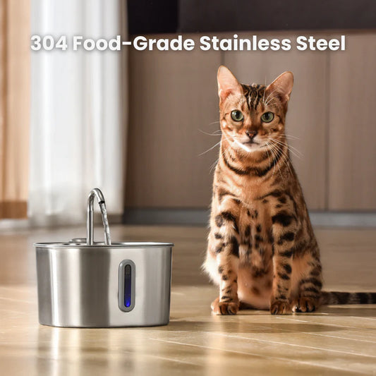 Cat Water Fountain Stainless