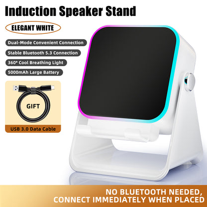 Wireless Induction Audio Speaker Stand