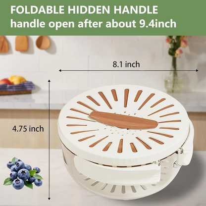 2-in-1 Multifunctional Fruit Washing Bowl