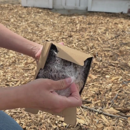 Solar-Powered Light Drop